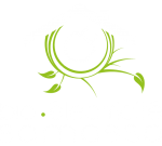 BIO ELECTRICITÉ SAMASSA